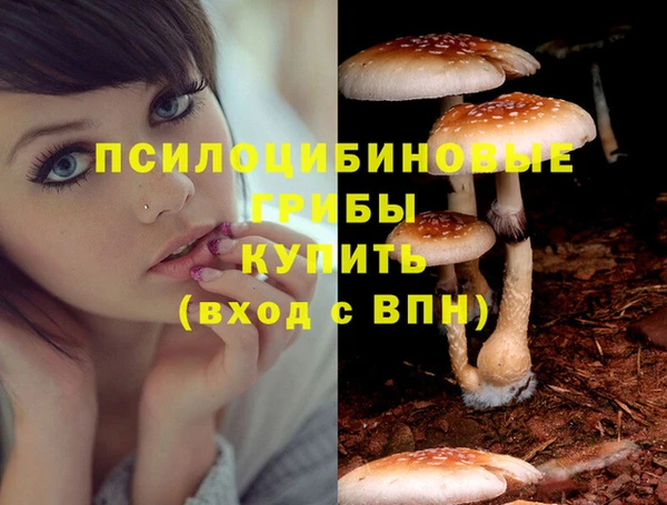 трава Балахна