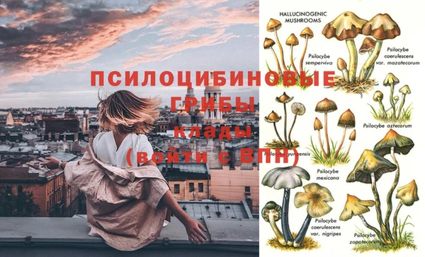 трава Балахна