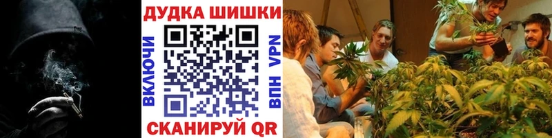 Купить  Володарск  Каннабис SATIVA & INDICA 